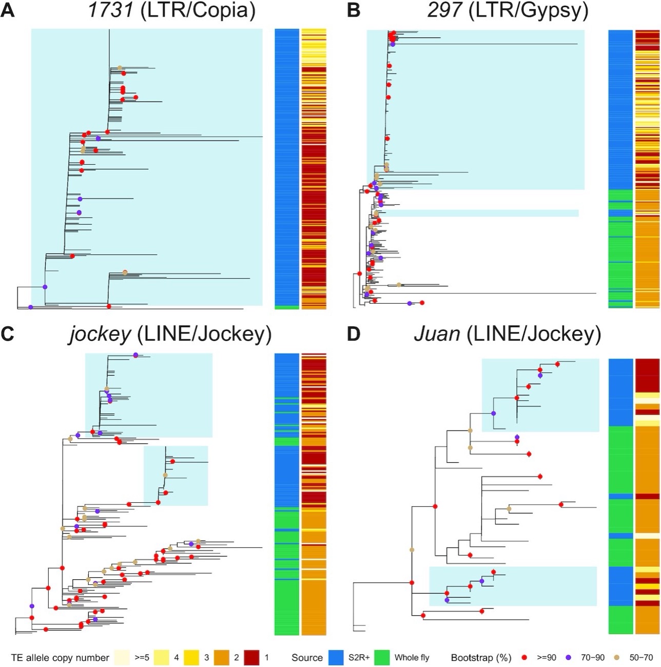 Phylogenetic trees for four transposable element families (1731, 297, jockey, and Juan) built from TELR-assembled insertion sequences, with highlighted clades marking expansions in the S2R+ cell line