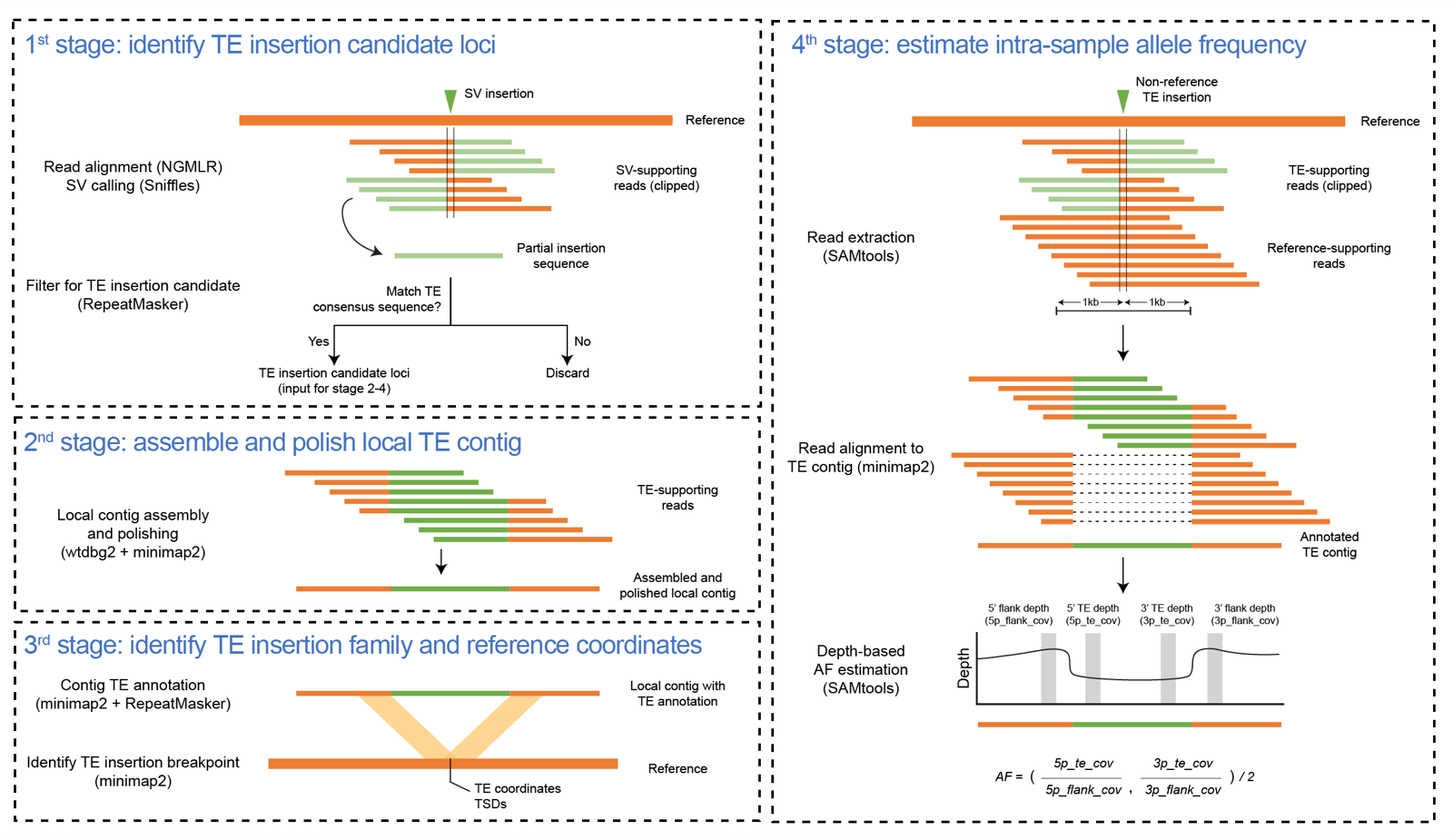 TELR workflow diagram showing four stages: identifying TE insertion candidate loci from structural variant calls, assembling and polishing a local TE contig, identifying the TE insertion family and reference coordinates, and estimating intra-sample allele frequency